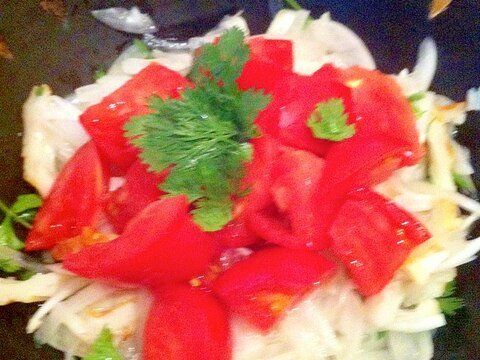 新玉葱とパクチーでタイ風サラダ
